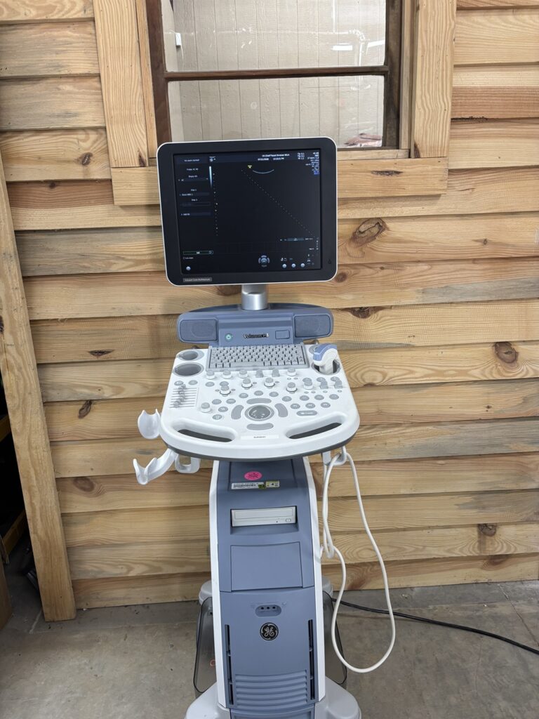 GE Voluson P8 3D/4D BT16
